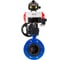 Затвор дисковый DN.ru GGG40-304-EPDM-2W-F-H Ду125 Ру16, пневмопривод DA-130, пневмораспределитель 24VDC, БКВ LSB-510, ручной дублёр HDM-3 D050-56454 1
