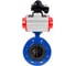 Затвор дисковый DN.ru GGG40-304-EPDM-2W-F-H Ду80 Ру16 пневмопривод DA-105, БКВ LSB-210 D050-56172 1