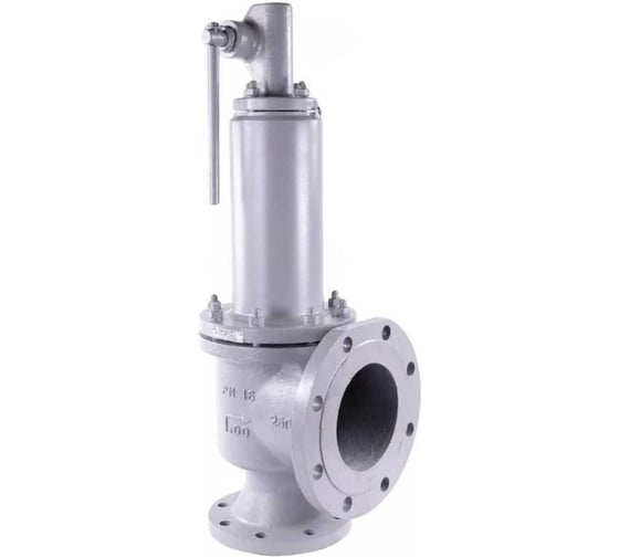 Клапан предохранительный DN.ru 17с6нж 25Л-20Х13-M-F Ду32/50 Ру16 настройка 13-16 бар D120-02123 1