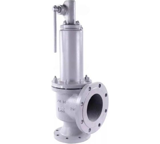 Клапан предохранительный 17с6нж 25Л-20Х13-M-F Ду40/65 Ру16 настройка 0.6-1 бар DN.ru D120-02128 1