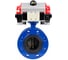 Затвор дисковый DN.ru GGG40-304-EPDM-2W-F-H Ду125 Ру16 пневмопривод DA-130, пневмораспределитель (2EM) 220VAC D050-56073 1