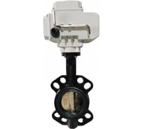 ЗДП с чугунным диском и электроприводом ХК 220В Ду150 Ру16 105100310