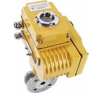 Шаровой кран DN.ru КШмФП.316.200 Ду20 Ру16 электропривод QT-005 24В D160-01704