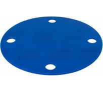 Диск пластиковый Миниворкс Ø300 мм под фланец ДУ150 (6) со стандартом давления PN 40, цвет синий – (1 шт.) DPF40-150