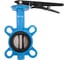 Затвор дисковый межфланцевый чугунный NEWKEY DN65 (2_1/2), PN16 NK-DZi65 3