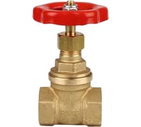Задвижка клиновая Tiemme 4 PN 16 2950064 2950046