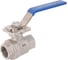 Кран шаровой муфтовый NEWKEY (2PC), AISI304 DN20 (3/4), с электроприводом AC 24V (C-03) NK-BMp20/4*PEAL30 3