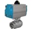 Кран шаровой муфтовый NEWKEY (2PC), AISI304 DN50 (2), с двухсторонним пневмоприводом AT63D NK-BMp50/4*AT63D 1