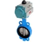 Затвор дисковый межфланцевый чугунный NEWKEY DN 100 (4), PN16 с двухсторонним пневмоприводом AT83D NK-DZi100*AT83D