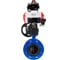 Затвор дисковый GGG40-304-EPDM-2W-F-H Ду50 Ру16, пневмопривод DA-105, пневмораспределитель 24VDC, БКВ LSB-410, ручной дублёр HDM-3 DN.ru D050-56415 1