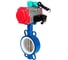 Затвор дисковый DN.ru WCB-316L-PTFE Ду65 Ру16, пневмопривод DA-083, пневмораспределитель 24VDC, магнитный переключатель МППП-200 D050-85119 1