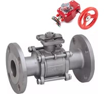 Кран DN.ru 316-316-FP-F-ISO-H Ду100 Ру25, редуктор с датчиком обратной связи D160-66184