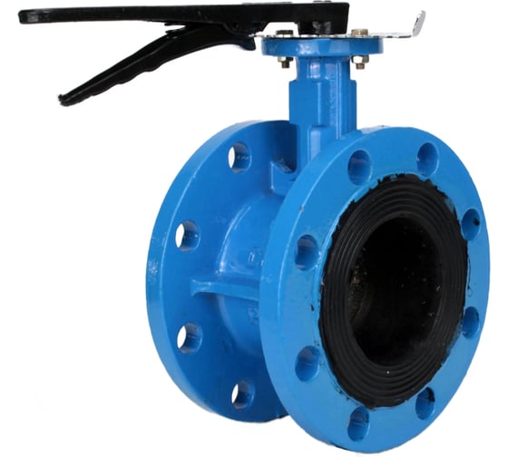 Затвор дисковый DN.ru GGG40-304-EPDM-2W-F-H Ду100 Ру16 фланцевый, с рукояткой D050-55954 1
