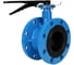 Затвор дисковый DN.ru GGG40-304-EPDM-2W-F-H Ду50 Ру16 фланцевый, с рукояткой D050-55951 1