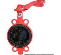 Затвор дисковый поворотный межфланцевый ручной РАШВОРК ДУ150 РУ16 чугунный, диск чугун 200-150-16