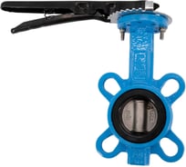 Затвор дисковый межфланцевый NEWKEY чугунный, DN50 (2), PN16 NK-DZi50