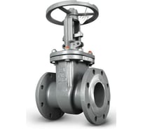 Задвижки ООО ПК «ТЕХГИДРОМАШ» 30с41нж Ду150 Ру16 класс А ТГМ 3427362842531 00-00000006