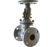 Задвижка Ci аналог 30с41нж Ду250 Ру16 стальная D040-00227