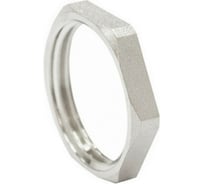 Контргайка STI латунная Ду25 (1") Ру16 никелированная внутренняя резьба D270-00398