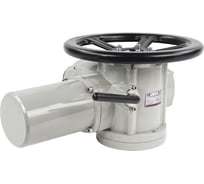 Многооборотный электропривод DN.ru MTG-300 220В общепромышленного исполнения D300-00364