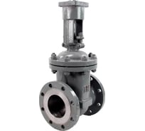 Задвижка клиновая DN.ru 30с941нж 25Л-25Л-M-2W-F-ОСТ Ду150 Ру16 фланцевая, с ОСТ-фланцем, с голым штоком GAIR D040-10521