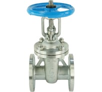 Задвижка клиновая DN.ru 30нж41нж 304-304-M-2W-F-S Ду250 Ру16 фланцевая, со штурвалом GAIR D040-10520