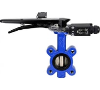 Затвор дисковый DN.ru QT450-QT450-EPDM-2W-Fb-H Ду50 Ру16 с рукояткой и двумя концевыми датчиками LS-103-41NM2-250 D050-89606