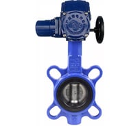 Затвор дисковый DN.ru WCB-316L-EPDM Ду80 Ру16, электропривод взрывозащищенный QT-W (M) EX-005 380В D050-87808