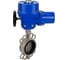 Затвор дисковый DN.ru 304-304-VITON-2W-Fb-H Ду100 Ру16, электропривод QT-W (M)-010 380В D050-89200 1