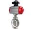 Затвор дисковый DN.ru 316L-316L-PTFE Ду125 Ру16L, пневмопривод DA-105, БКВ LSB-210 D050-87918 1