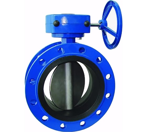 Затвор дисковый DN.ru GGG40-304-EPDM-2W-F-R Ду250 Ру16 фланцевый, с редуктором D050-55958 1