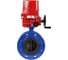 Затвор дисковый DN.ru GGG40-304-EPDM-2W-F-H Ду80 Ру16 фланцевый, с 1/4-оборотным взрывозащищенным электроприводом EX-015 220В D050-56018 1