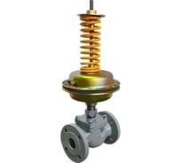 Регулятор перепада давления DN.ru РПД-25Л-M-MA-F-NO Ду40 Ру25 Kv25 фланцевый, 0.05-0.3МПа D230-20966