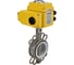 Затвор дисковый DN.ru 304-304-PTFE-2W-Fb-R Ду200 Ру16, электропривод QT-040 24В D050-87848 1