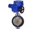 Затвор дисковый DN.ru GGG50-316L-EPDM-ISO-R Ду500 Ру16, электропривод QT-W (M)-500 220В D050-87899 1