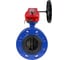 Затвор дисковый DN.ru GGG40-304-EPDM-2W-F-H Ду200 Ру16 фланцевый, с редуктором HGBF-3 D050-55979 1