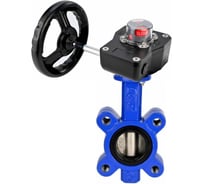 Затвор дисковый DN.ru QT450-QT450-NBR-2W-Fb-H Ду125 Ру16 редуктор HGB-1 D050-89592