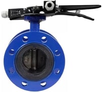 Затвор дисковый DN.ru GGG40-304-EPDM-2W-F-H Ду150 Ру16 фланцевый, с рукояткой и двумя концевыми датчиками LS-103-41NM2-250 D050-55996