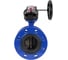 Затвор дисковый DN.ru GGG40-304-EPDM-2W-F-H Ду125 Ру16 фланцевый, с редуктором HGB-2 D050-55970 1