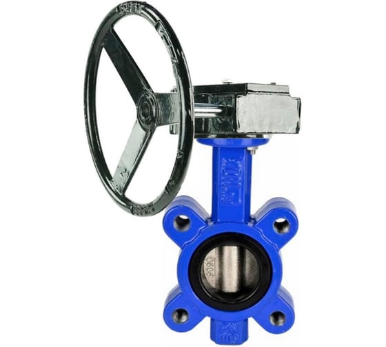 Затвор дисковый DN.ru QT450-304-EPDM-2W-Fb-H Ду50 Ру16 редуктор RDN-1 D050-89657