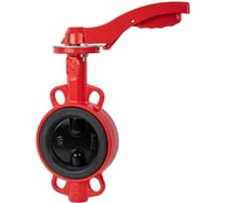 Затвор дисковый поворотный RUSHWORK РАШВОРК DN065, PN16, GG25 / CF8 / EPDM, М/Ф, рукоятка, квадрат11х11 201-065-16