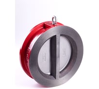 Клапан обратный двухстворчатый РАШВОРК, DN040, PN16, корпус - GJL-250 (GG25), пластины - CF8M, уплотнение - EPDM, М/Ф RUSHWORK 400-040-16