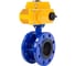 Затвор дисковый поворотный DN.ru GGG40-304-EPDM-2W-F-H Ду50 Ру16 фланцевый эл.привод QT-015 380В с моментной муфтой 380В D050-92231 1