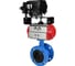 Затвор дисковый поворотный DN.ru GGG40-GGG40-EPDM-2W-H Ду100 Ру16 фланц., пн.привод DA-105, БКВ LSB-510-02ExM12-250, руч.дубл. HDM-1 D050-90822 1