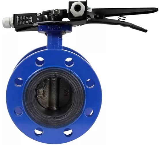 Затвор дисковый поворотный DN.ru GGG40-GGG40-EPDM-2W-H Ду100 Ру16 фланц. с рукояткой и двумя концевыми датчиками LS-103-41NM2-250 D050-90272