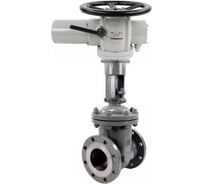 Задвижка клиновая DN.ru 30нж964нж ХНТЛ-ХНТЛ-M-2W-F-ОСТ Ду100 Ру25 фланцевая, с ОСТ-фланцем АК (А), GAIR 100Нм D040-10710