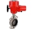 Затвор дисковый DN.ru 304-304-VITON-2W-Fb-H Ду80 Ру16, электропривод QT-W (M) EX-005 220В D050-89178 1