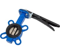 Затвор дисковый DN.ru QT450-304-EPDM-2W-Fb-H Ду125 Ру16 электропривод QT-W (M) EX-015 220В D050-89637