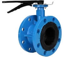 Затвор дисковый DN.ru GGG40-304-EPDM-2W-F-H Ду150 Ру16 фланцевый, с рукояткой D050-55956