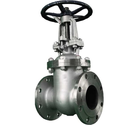 Задвижка ООО ПК «ТЕХГИДРОМАШ» 30нж41нж Ду200 Ру16 ст.12Х18Н9ТЛ 00-00000887